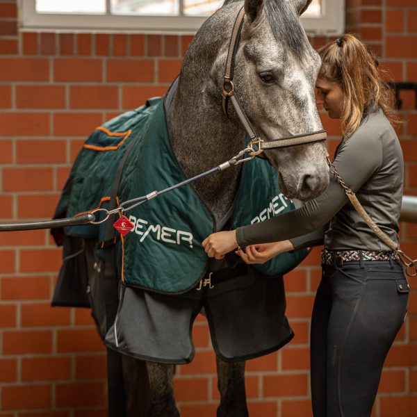 Vuokraa BEMER hevosille | BEMER Horse-Set